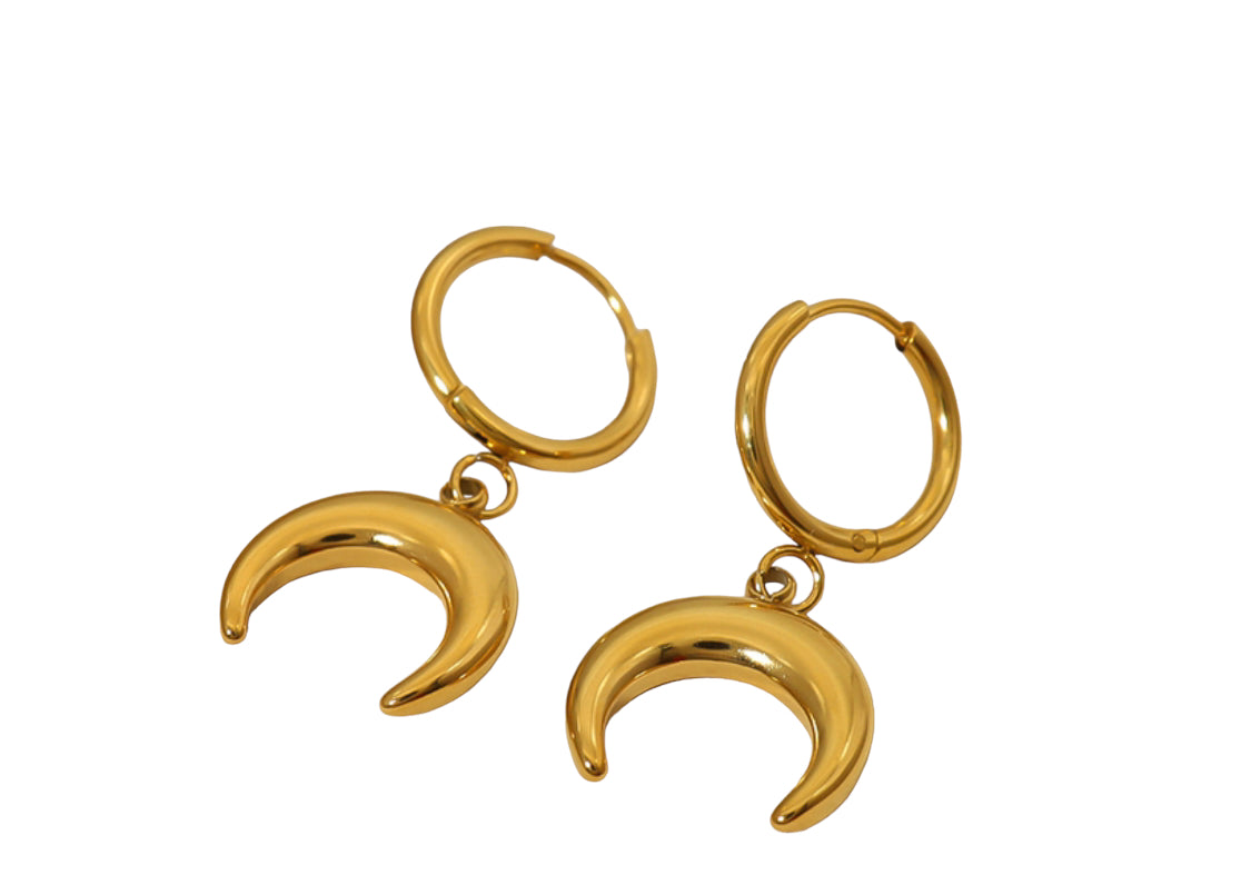 Earrings  -  Gold Moon